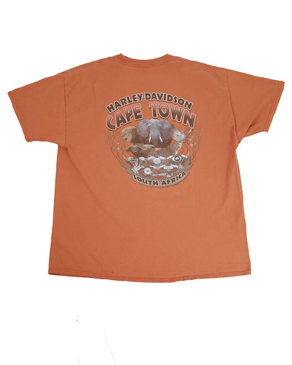 Harley Davidson Tee - Capetown, South Africa