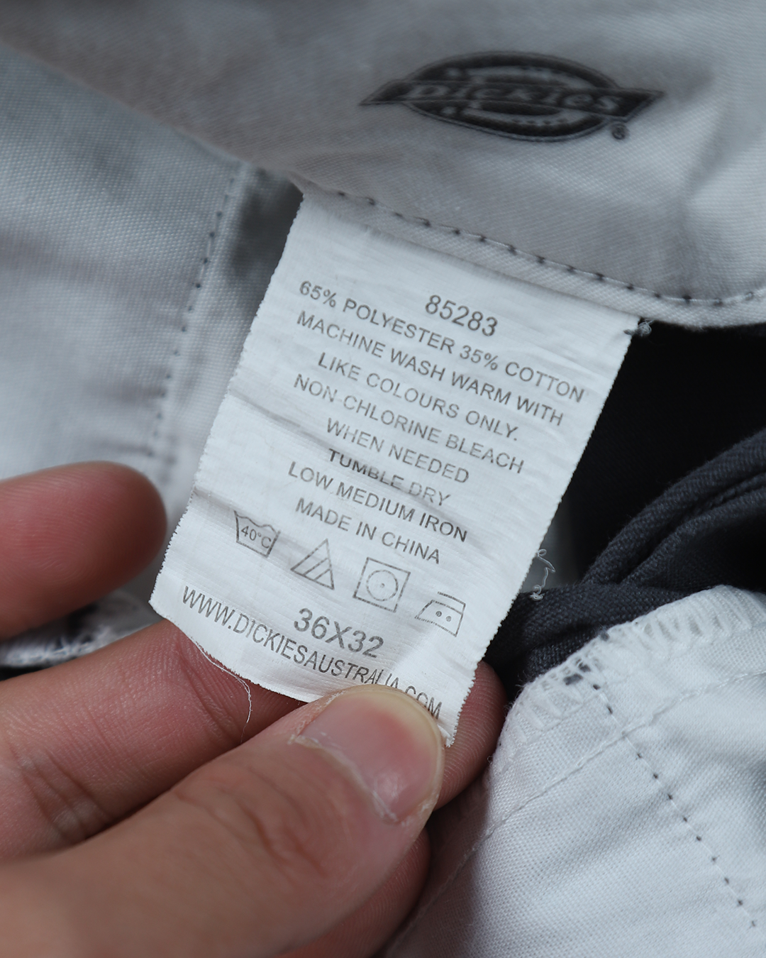 Dickies Pants