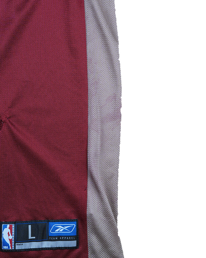 Lebron James #23 Cleveland Cavaliers Basketball Jersey