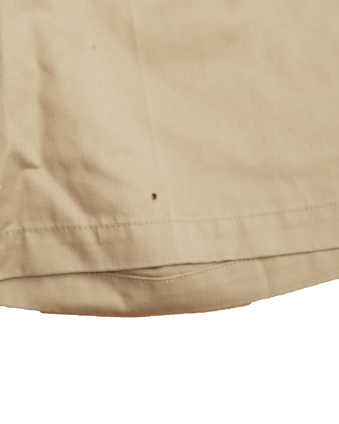 Dickies Shorts