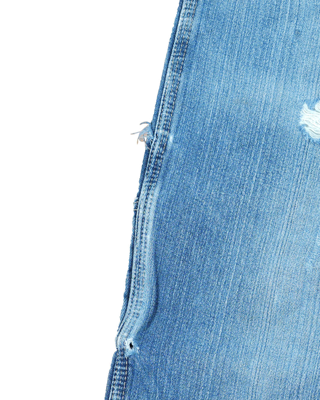 Dickies Pants